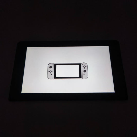 Nintendo Switch Console Solo Schermo Unpatched - Usato1