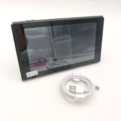 Nintendo Switch Console Solo Schermo Unpatched - Usato